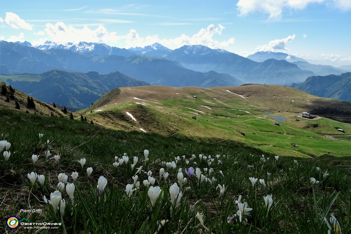 40 Vista sui Piani d'Avaro con Orobie sullo sfondo.JPG